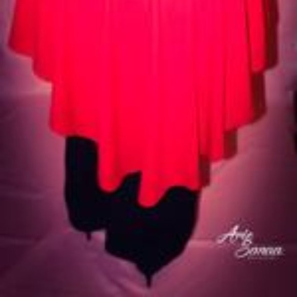 Robin - Picture 4 of 4